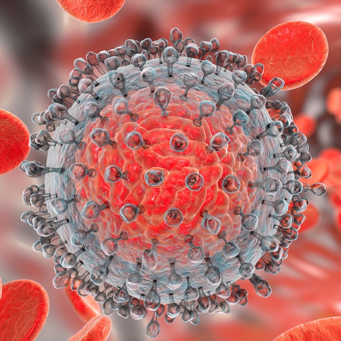 Hepatitis C virus illustration